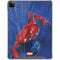 Marvel Spiderman World of Webs iPad Cases